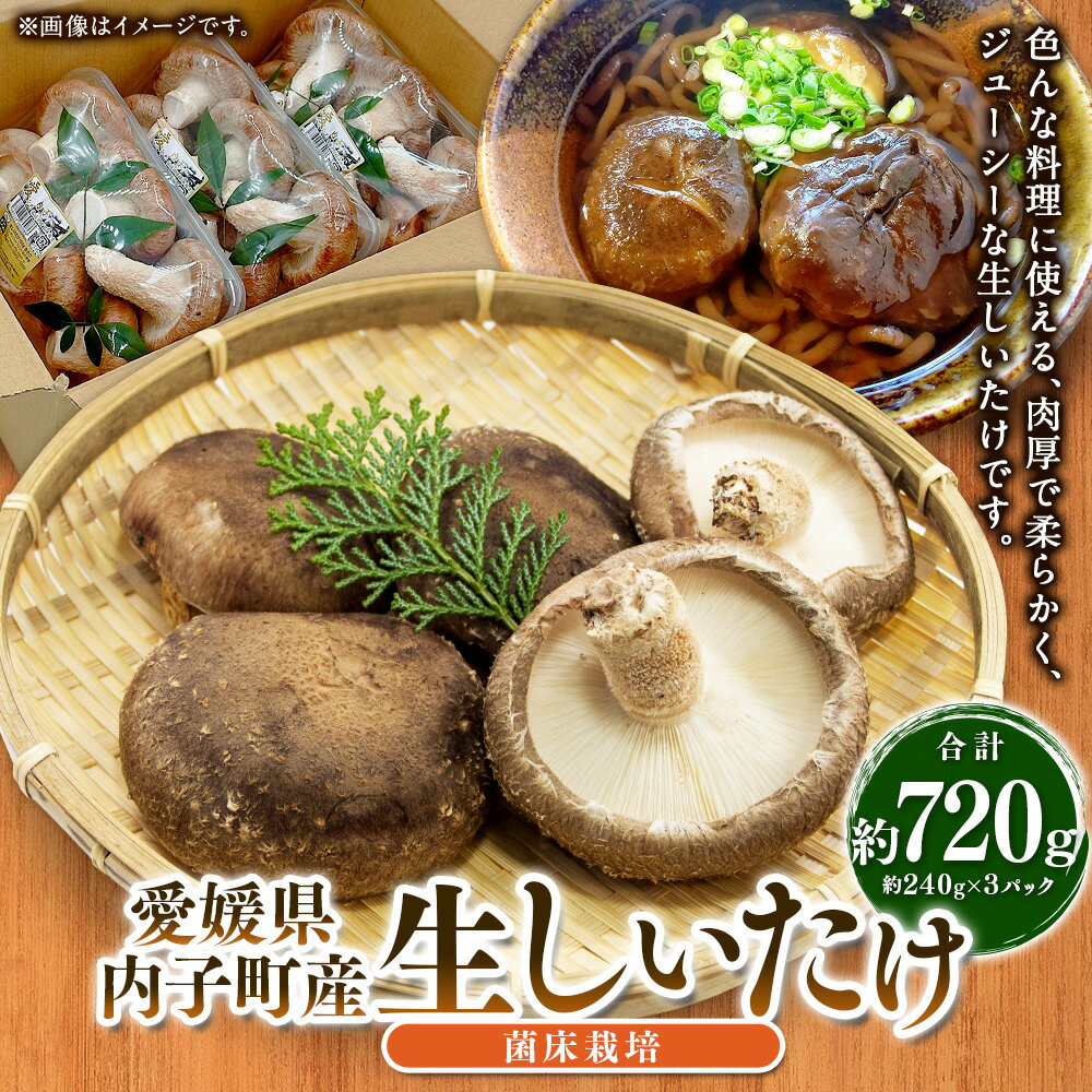 【ふるさと納税】内子町産 生しいたけ（菌床栽培） 約240g×3パック 合計約720g 椎茸 シイタケ きのこ キノコ 茸 愛媛県産 国産 四国 愛媛県 送料無料 (443)【えひめの町（超）推し！（内子町）】 - 画像2