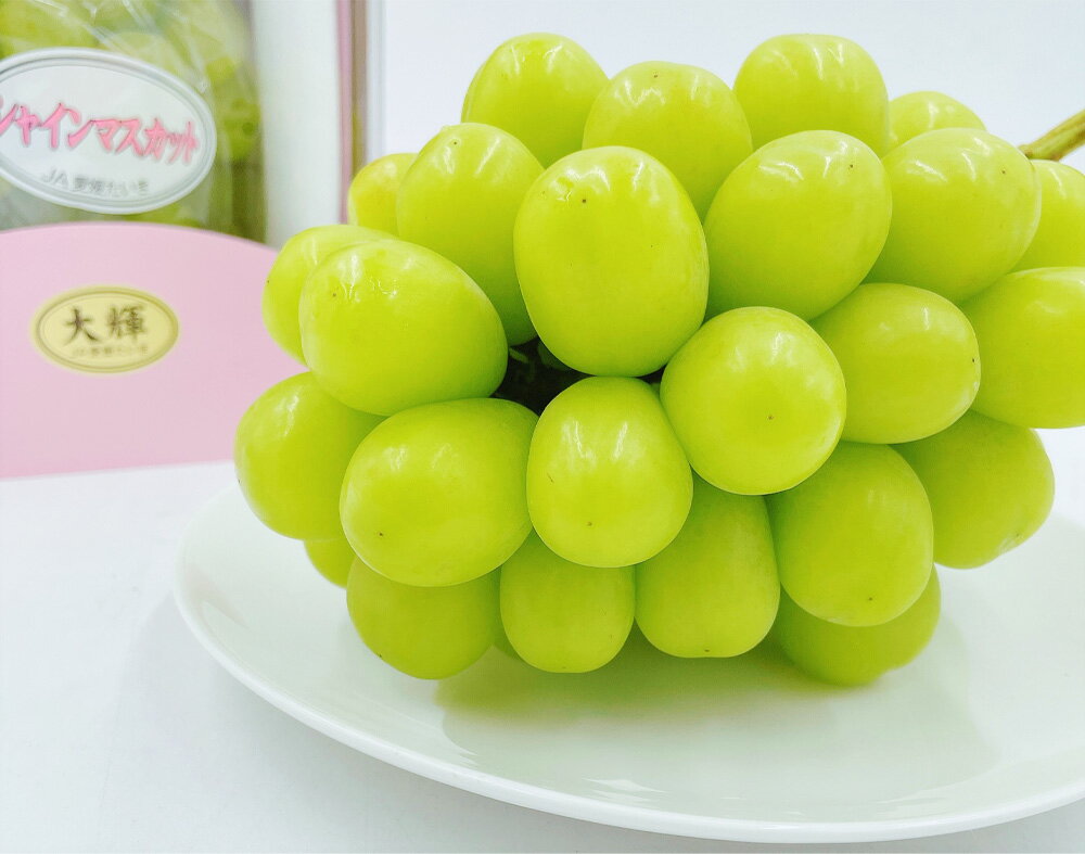 【ふるさと納税】内子町産 シャインマスカット 赤秀 1房入 約750g以上 ぶどう ブドウ 葡萄 マスカット フルーツ 果物 果実 愛媛県産 国産 四国 愛媛県 送料無料 (447) 【2026年8月下旬～9月下旬迄発送予定】【えひめの町（超）推し！（内子町）】 サムネイル3