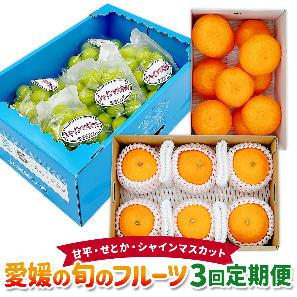 愛媛の旬のフルーツ 3回定期便 ( 甘平 ・ せとか ・ シャインマスカット ） みかん ミカン 柑橘 マスカット ぶどう ブドウ 果物 フルーツ お取り寄せ デザート 定期便 常温 送料無料 【2026年1月上旬～9月下旬まで発送予定】【えひめの町(超)推し！】(623)