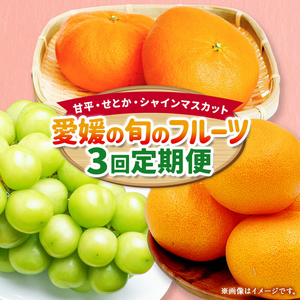 【ふるさと納税】愛媛の旬のフルーツ 3回定期便 ( 甘平 ・ せとか ・ シャインマスカット ） みかん ミカン 柑橘 マスカット ぶどう ブドウ 果物 フルーツ お取り寄せ デザート 定期便 常温 送料無料 【2026年1月上旬～9月下旬まで発送予定】【えひめの町(超)推し！】(623) サムネイル2