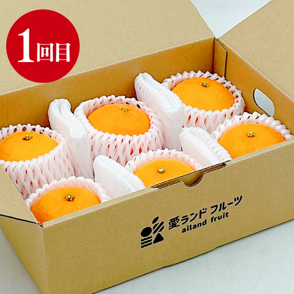 【ふるさと納税】愛媛の旬のフルーツ 3回定期便 ( 甘平 ・ せとか ・ シャインマスカット ） みかん ミカン 柑橘 マスカット ぶどう ブドウ 果物 フルーツ お取り寄せ デザート 定期便 常温 送料無料 【2026年1月上旬～9月下旬まで発送予定】【えひめの町(超)推し！】(623) サムネイル3