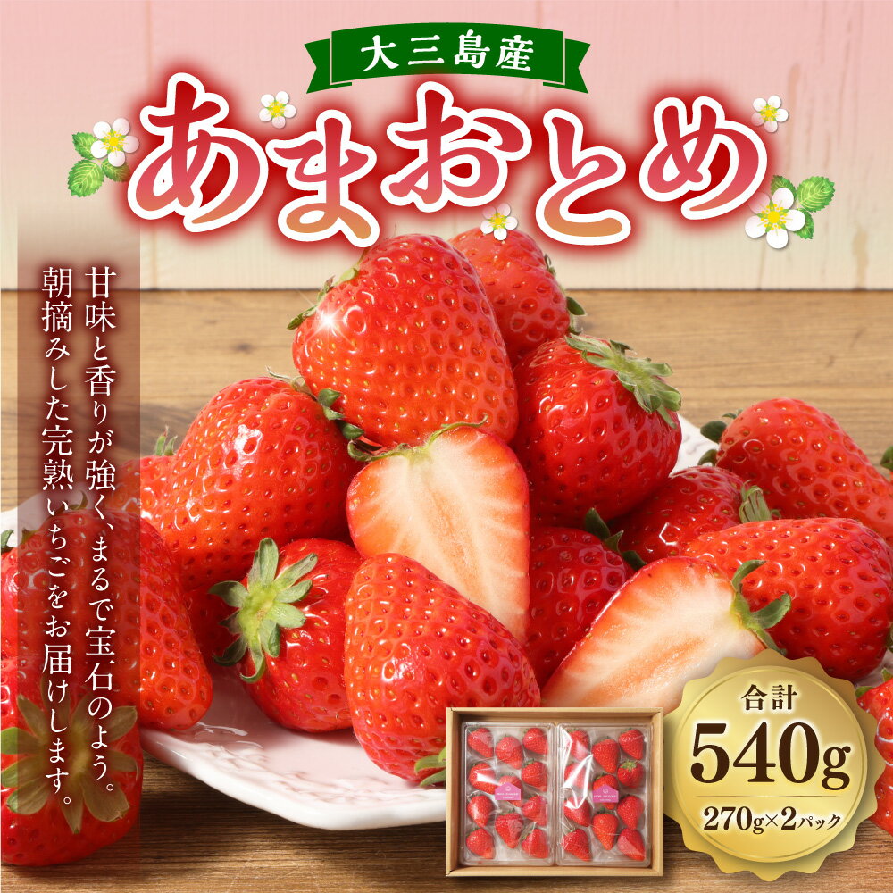 【ふるさと納税】大三島産 あまおとめ 約270g×2パック 計約540g 苺 いちご イチゴ ベリー 果物 フルーツ デザート お取り寄せ 国産 愛媛県 冷蔵 送料無料【2026年1月上旬-5月下旬発送予定】(507) サムネイル2