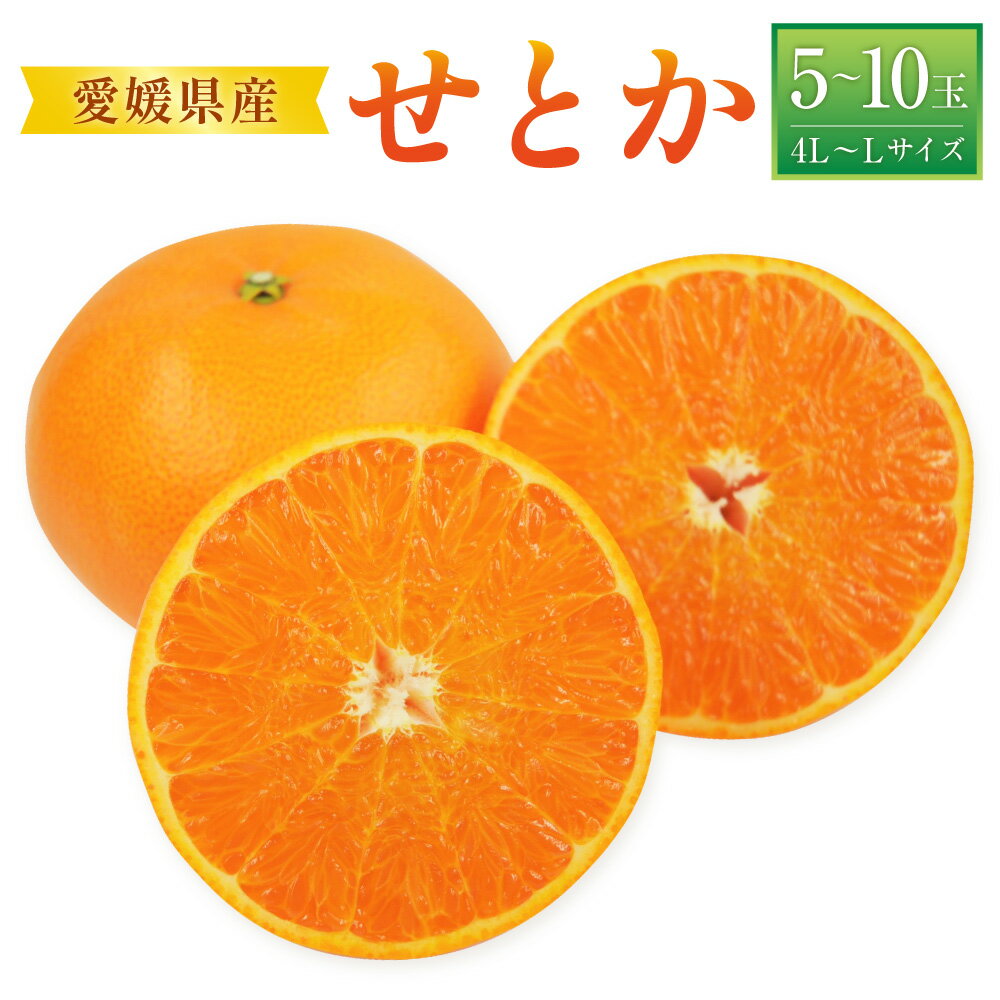 せとか 4L～Lサイズ 5～10玉前後 みかん ミカン 蜜柑 柑橘 フルーツ 果物 果物 くだもの 宇和 お取り寄せ デザート おやつ 常温 送料無料【2026年2月下旬～2026年3月下旬発送予定】(521-1)