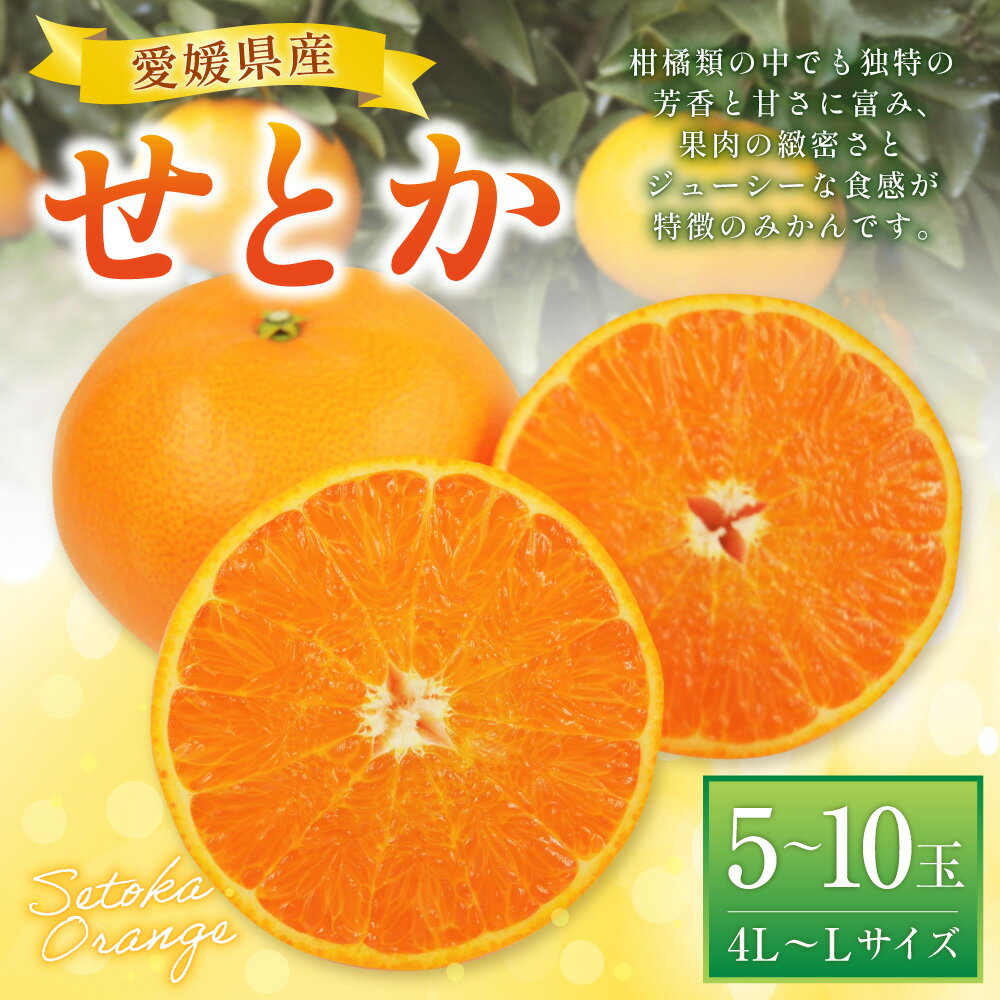 【ふるさと納税】せとか 4L～Lサイズ 5～10玉前後 みかん ミカン 蜜柑 柑橘 フルーツ 果物 果物 くだもの 宇和 お取り寄せ デザート おやつ 常温 送料無料【2026年2月下旬～2026年3月下旬発送予定】(521-1) サムネイル2