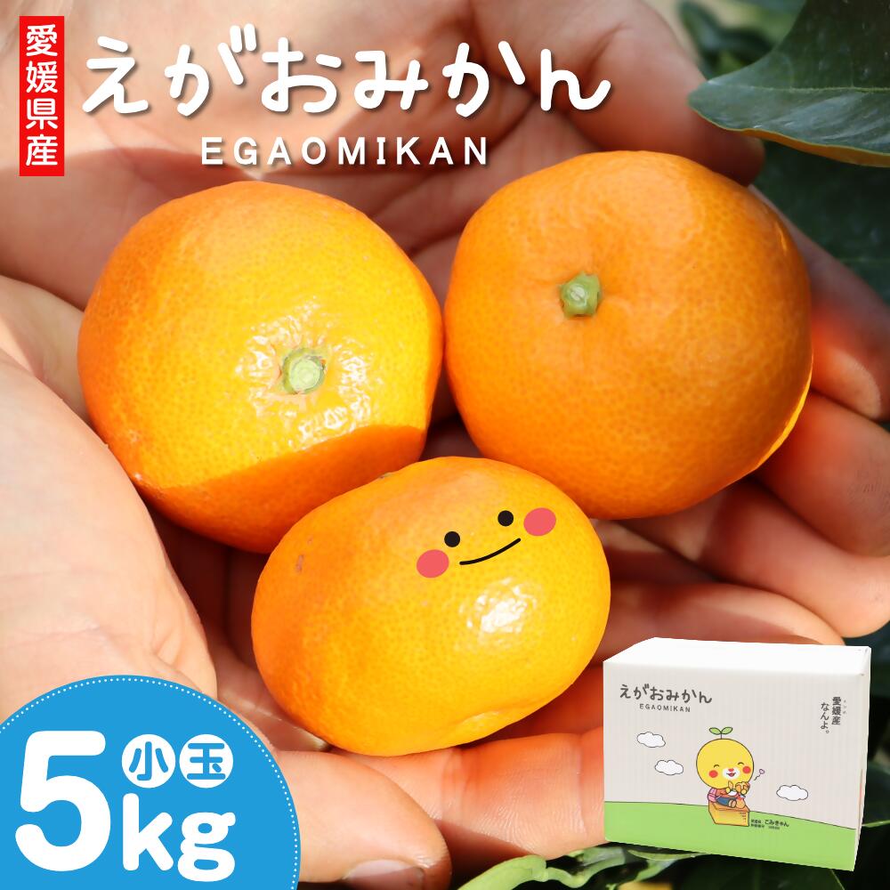 えがおみかん 南柑20号 約5kg 3S～Sサイズ 約100～120玉 18000円 1万8000円 柑橘 温州みかん みかん 蜜柑 ミカン フルーツ 果物 くだもの お取り寄せ デザート おやつ 国産 愛媛県 常温 送料無料 【2025年12月上旬-2026年1月上旬発送】 (562-1)