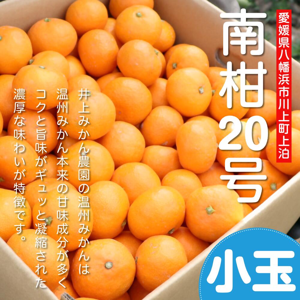 【ふるさと納税】えがおみかん 南柑20号 約5kg 3S～Sサイズ 約100～120玉 18000円 1万8000円 柑橘 温州みかん みかん 蜜柑 ミカン フルーツ 果物 くだもの お取り寄せ デザート おやつ 国産 愛媛県 常温 送料無料 【2025年12月上旬-2026年1月上旬発送】 (562-1) サムネイル2