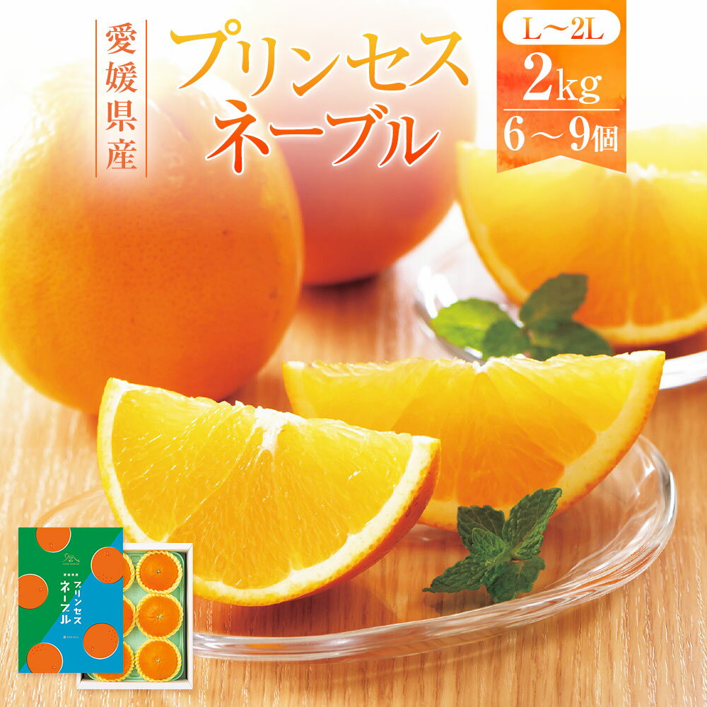 愛媛県産 プリンセスネーブル L～2Lサイズ 約2kg 6～9個 ネーブル オレンジ 柑橘 果物 くだもの フルーツ おやつ デザート 国産 愛媛県 送料無料【2026年3月上旬～3月下旬発送予定】(875)
