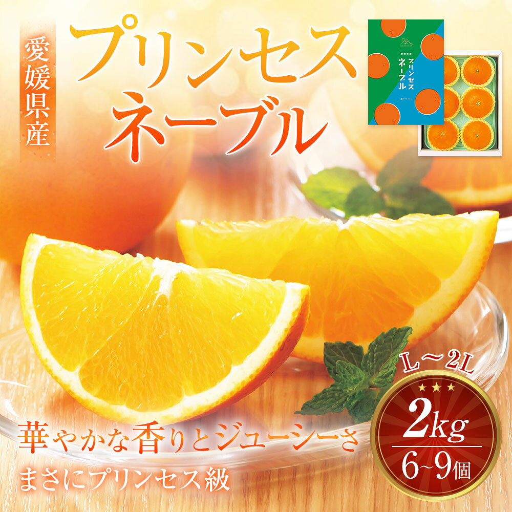【ふるさと納税】愛媛県産 プリンセスネーブル L～2Lサイズ 約2kg 6～9個 ネーブル オレンジ 柑橘 果物 くだもの フルーツ おやつ デザート 国産 愛媛県 送料無料【2026年3月上旬～3月下旬発送予定】(875) サムネイル2
