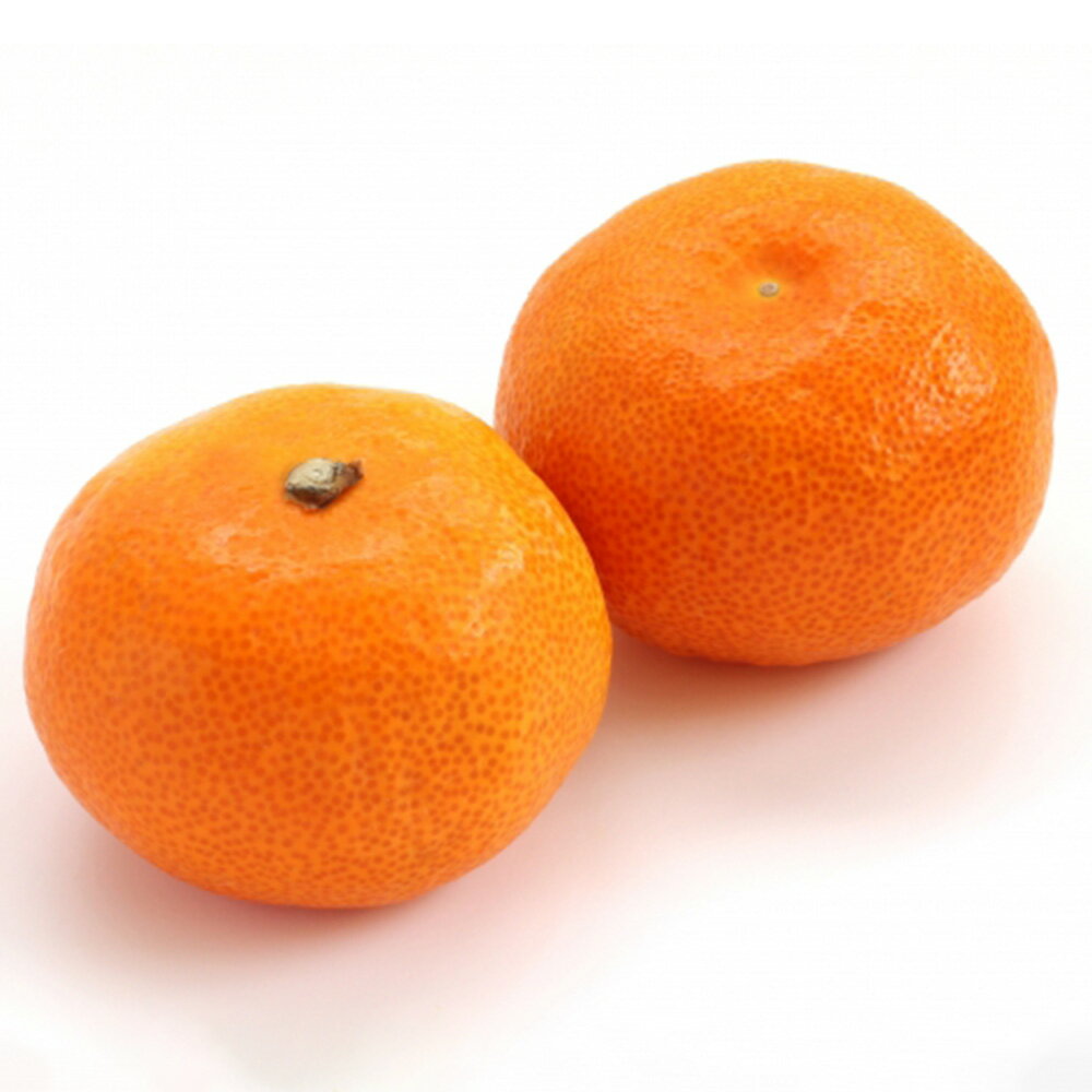 温州みかん L～S サイズ〈選べる〉約5kg または 約10kg みかん 蜜柑 果物 フルーツ 柑橘 デザート おやつ お取り寄せ 国産 愛媛県 送料無料【2025年12月発送予定】(815)(816)