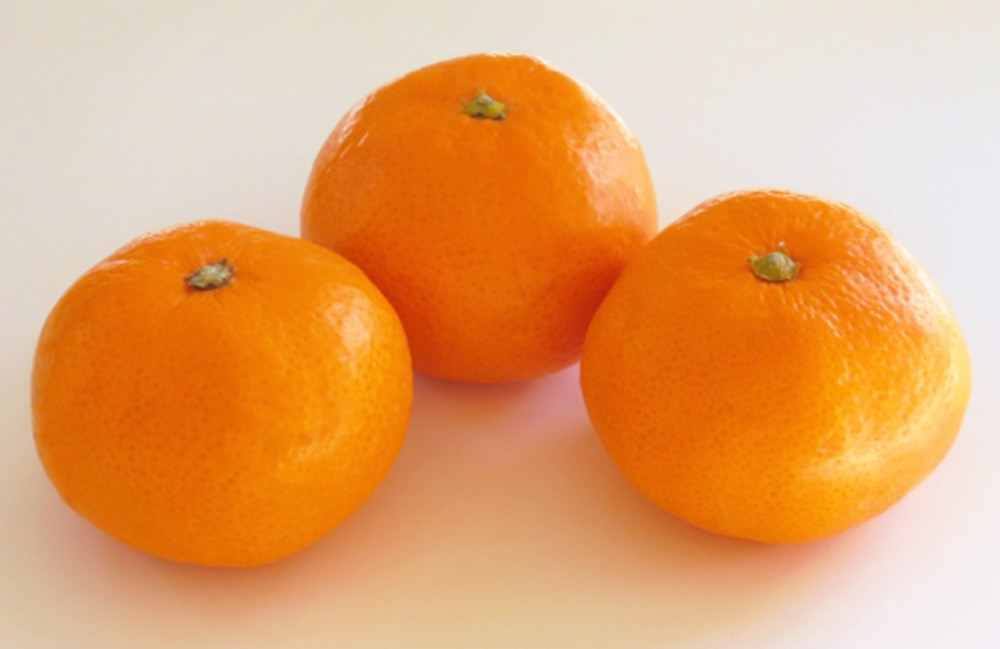 【ふるさと納税】温州みかん L～S サイズ〈選べる〉約5kg または 約10kg みかん 蜜柑 果物 フルーツ 柑橘 デザート おやつ お取り寄せ 国産 愛媛県 送料無料【2025年12月発送予定】(815)(816) サムネイル2