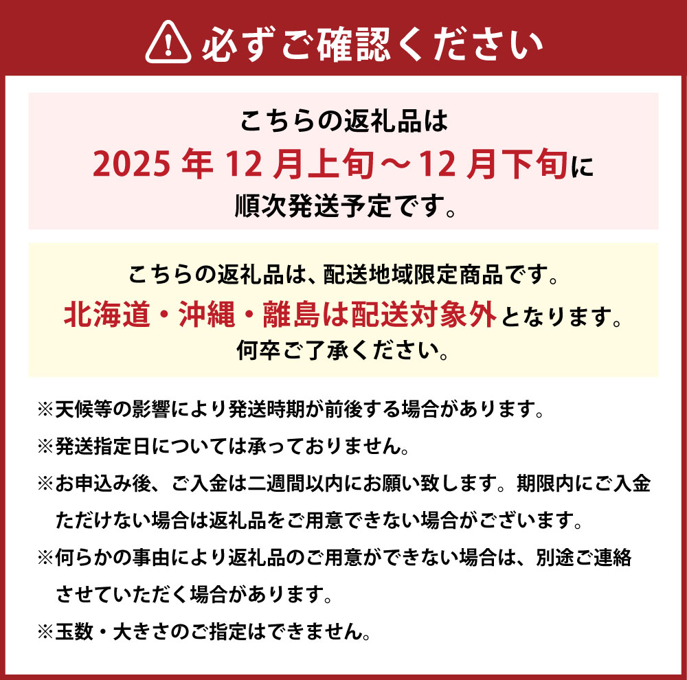 【ふるさと納税】温州みかん L～S サイズ〈選べる〉約5kg または 約10kg みかん 蜜柑 果物 フルーツ 柑橘 デザート おやつ お取り寄せ 国産 愛媛県 送料無料【2025年12月発送予定】(815)(816) サムネイル3