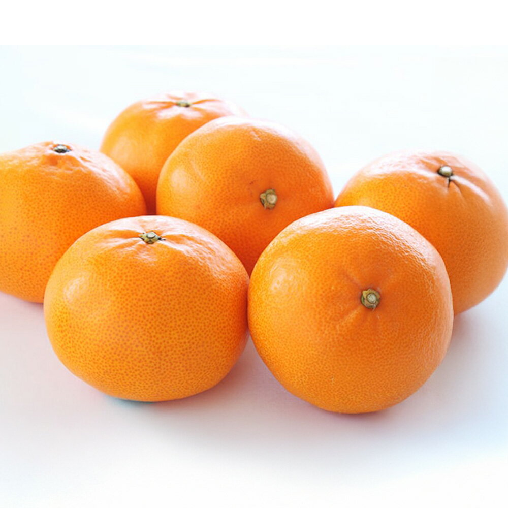 せとか 4L～L〈選べる〉約3kg(化粧箱入り) or 約5kg(通常箱) 54000円 5万4000円 みかん 蜜柑 果物 フルーツ 柑橘 デザート おやつ お取り寄せ 国産 愛媛県 送料無料【2026年2月下旬-4月下旬発送予定】(820)(821)