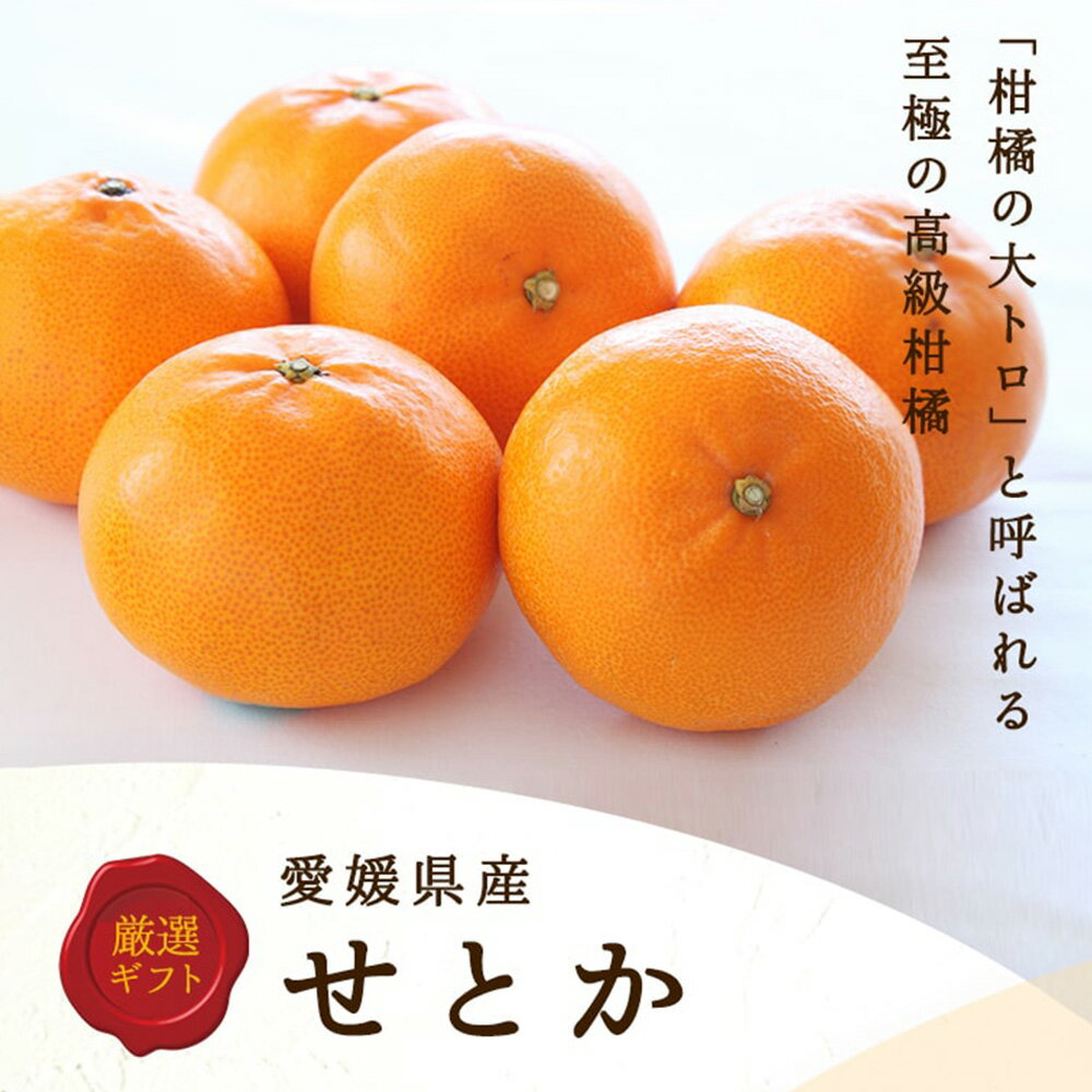 【ふるさと納税】せとか 4L～L〈選べる〉約3kg(化粧箱入り) or 約5kg(通常箱) 54000円 5万4000円 みかん 蜜柑 果物 フルーツ 柑橘 デザート おやつ お取り寄せ 国産 愛媛県 送料無料【2026年2月下旬-4月下旬発送予定】(820)(821) サムネイル2
