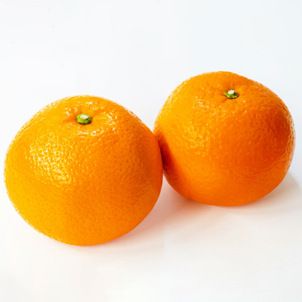 伊予柑 3L～M 約9kg 35000円 3万5000円 いよかん みかん 蜜柑 果物 フルーツ 柑橘 デザート おやつ お取り寄せ 国産 愛媛県 送料無料【2026年1月下旬-3月上旬発送予定】(823)