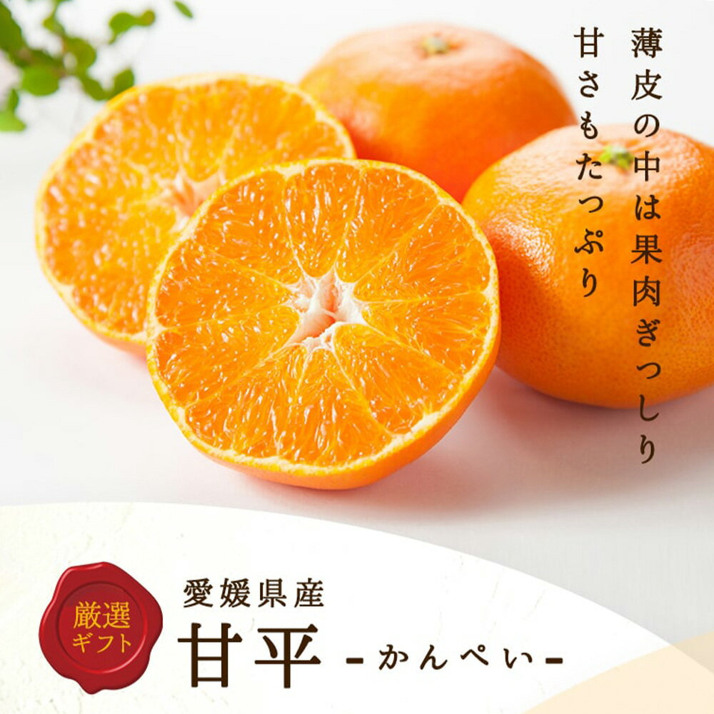 【ふるさと納税】甘平 5L～L 約3kg みかん 蜜柑 果物 フルーツ 柑橘 デザート おやつ お取り寄せ 国産 愛媛県 送料無料【2026年1月下旬-3月下旬発送予定】(824) サムネイル2