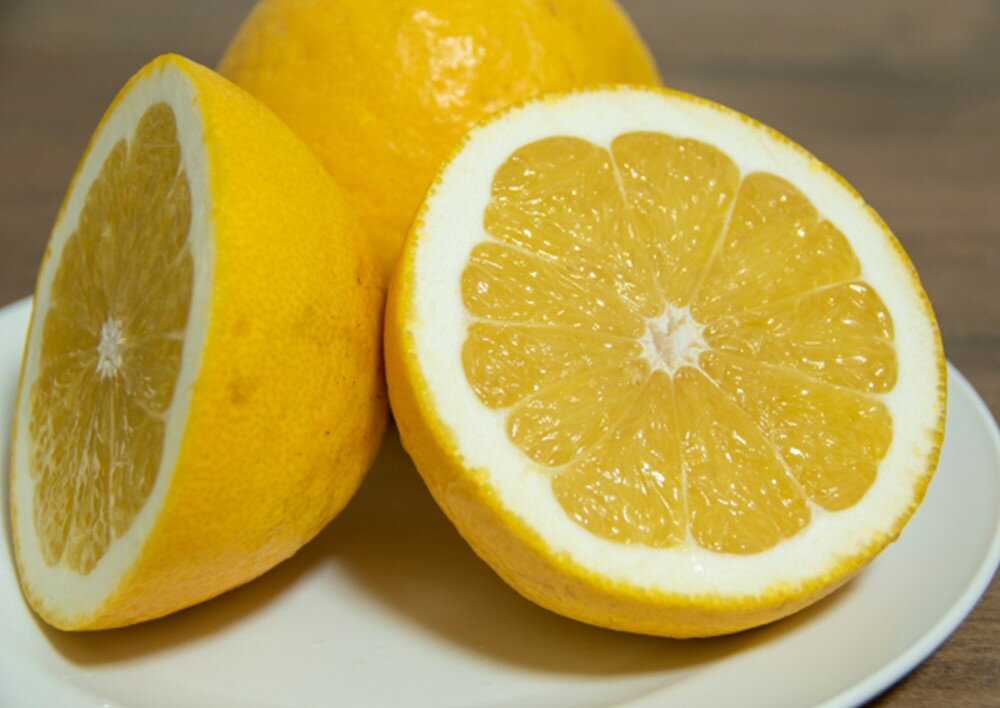 【ふるさと納税】河内晩柑 2L～M 約10kg みかん 蜜柑 果物 フルーツ 柑橘 デザート おやつ お取り寄せ 国産 愛媛県 送料無料【2026年3月下旬-6月下旬発送予定】(826) サムネイル2