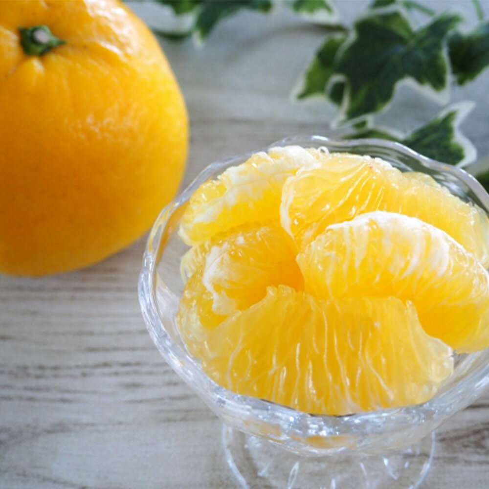 【ふるさと納税】河内晩柑 2L～M 約10kg みかん 蜜柑 果物 フルーツ 柑橘 デザート おやつ お取り寄せ 国産 愛媛県 送料無料【2026年3月下旬-6月下旬発送予定】(826) サムネイル3