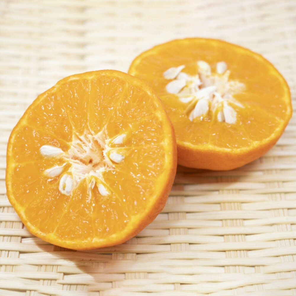 カラマンダリン 2L～S 約5kg みかん 蜜柑 果物 フルーツ 柑橘 デザート おやつ お取り寄せ 国産 愛媛県 送料無料【2026年4月下旬-5月下旬発送予定】(827)