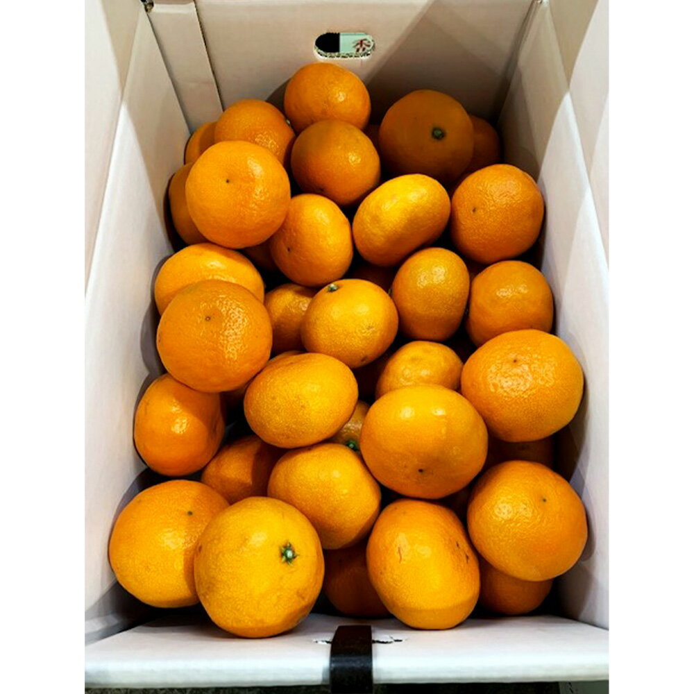 【ふるさと納税】カラマンダリン 2L～S 約5kg みかん 蜜柑 果物 フルーツ 柑橘 デザート おやつ お取り寄せ 国産 愛媛県 送料無料【2026年4月下旬-5月下旬発送予定】(827) サムネイル2