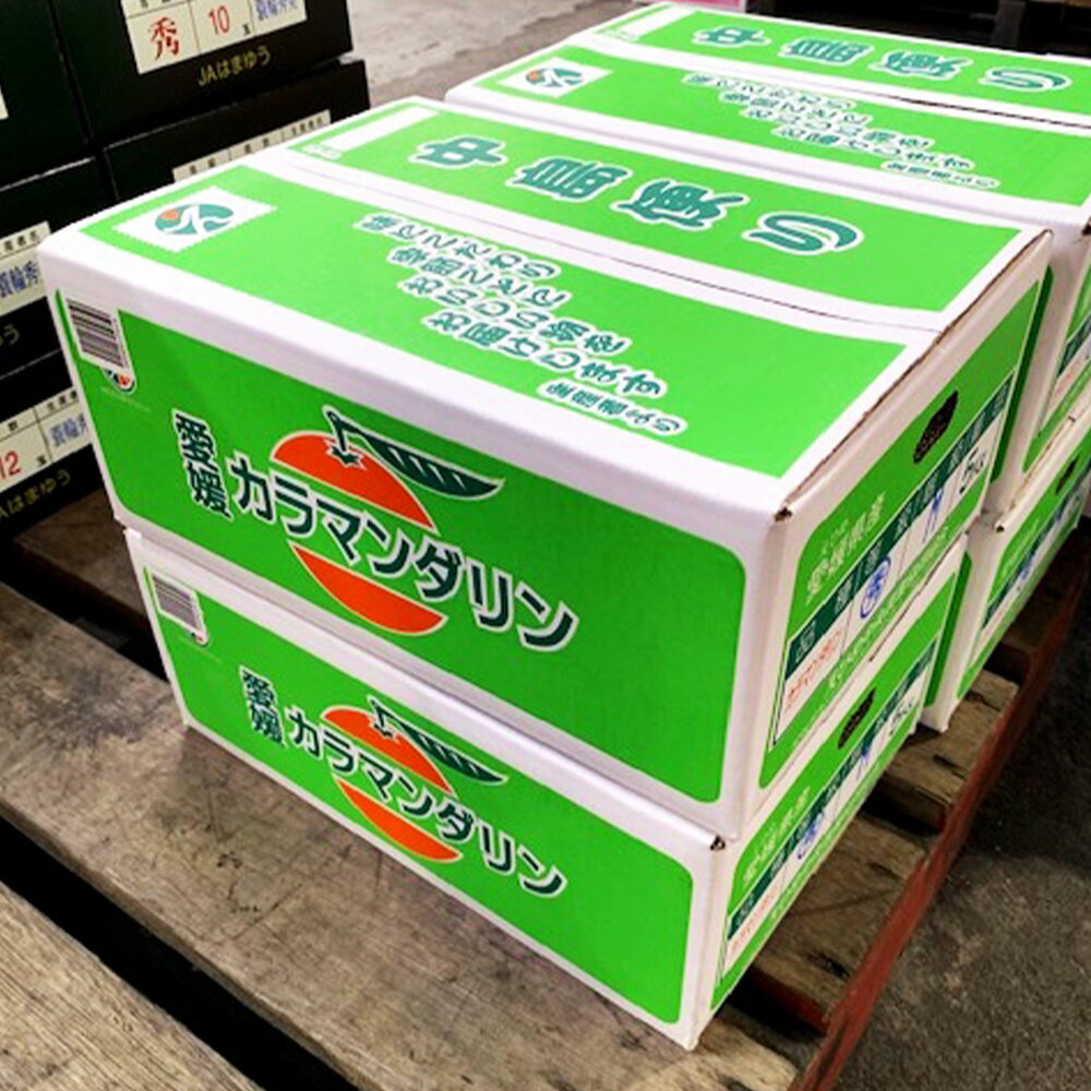 【ふるさと納税】カラマンダリン 2L～S 約5kg みかん 蜜柑 果物 フルーツ 柑橘 デザート おやつ お取り寄せ 国産 愛媛県 送料無料【2026年4月下旬-5月下旬発送予定】(827) サムネイル3