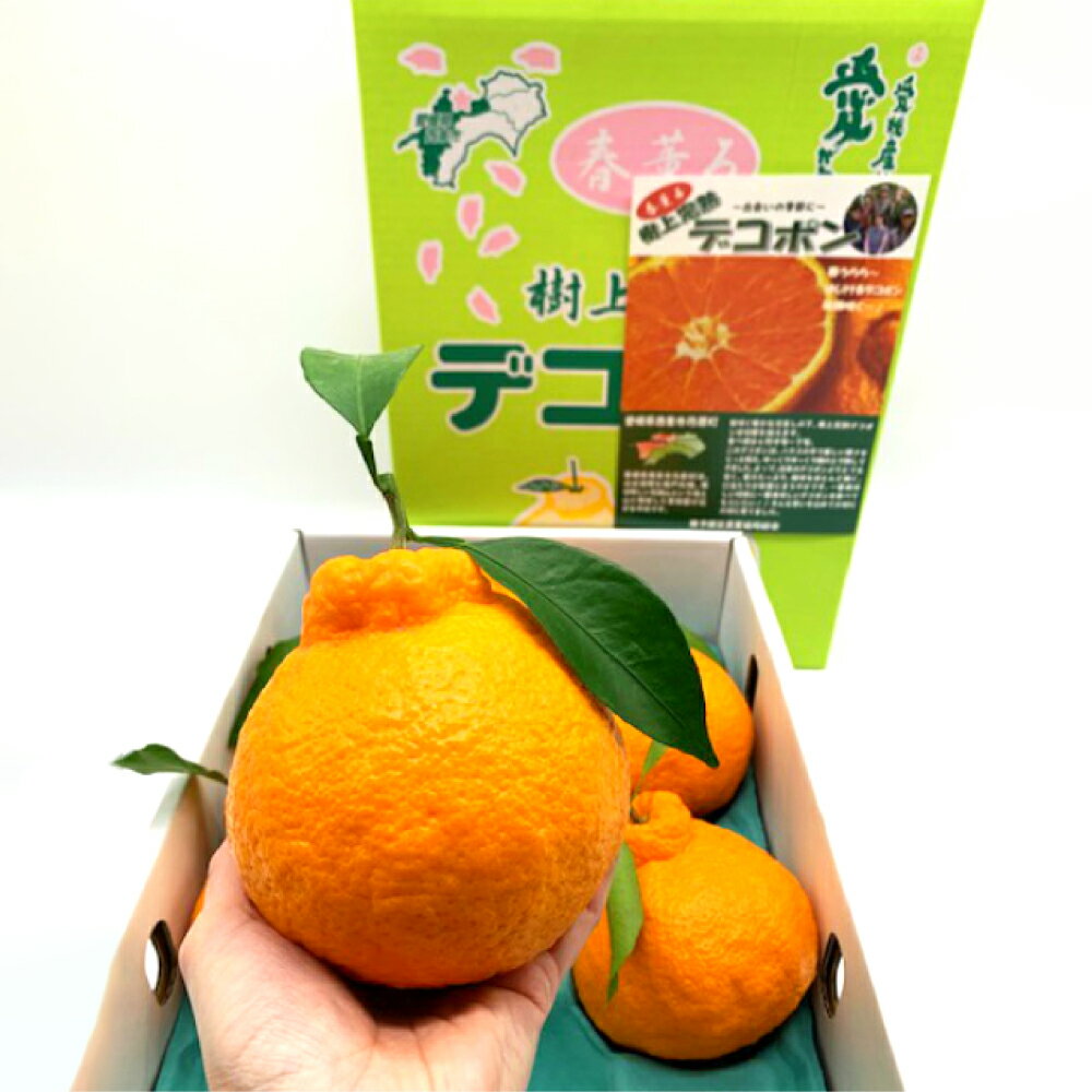 【ふるさと納税】完熟葉付き デコポン 4L～L 約3kg 柑橘類 柑橘 でこぽん オレンジ 国産 みかん ミカン 果物 フルーツ くだもの 愛媛県 送料無料【2026年4月上旬-6月下旬発送予定】(725-1) サムネイル2