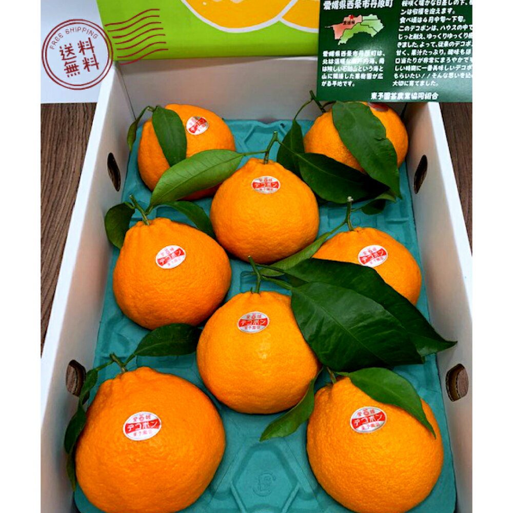 【ふるさと納税】完熟葉付き デコポン 4L～L 約3kg 柑橘類 柑橘 でこぽん オレンジ 国産 みかん ミカン 果物 フルーツ くだもの 愛媛県 送料無料【2026年4月上旬-6月下旬発送予定】(725-1) サムネイル3
