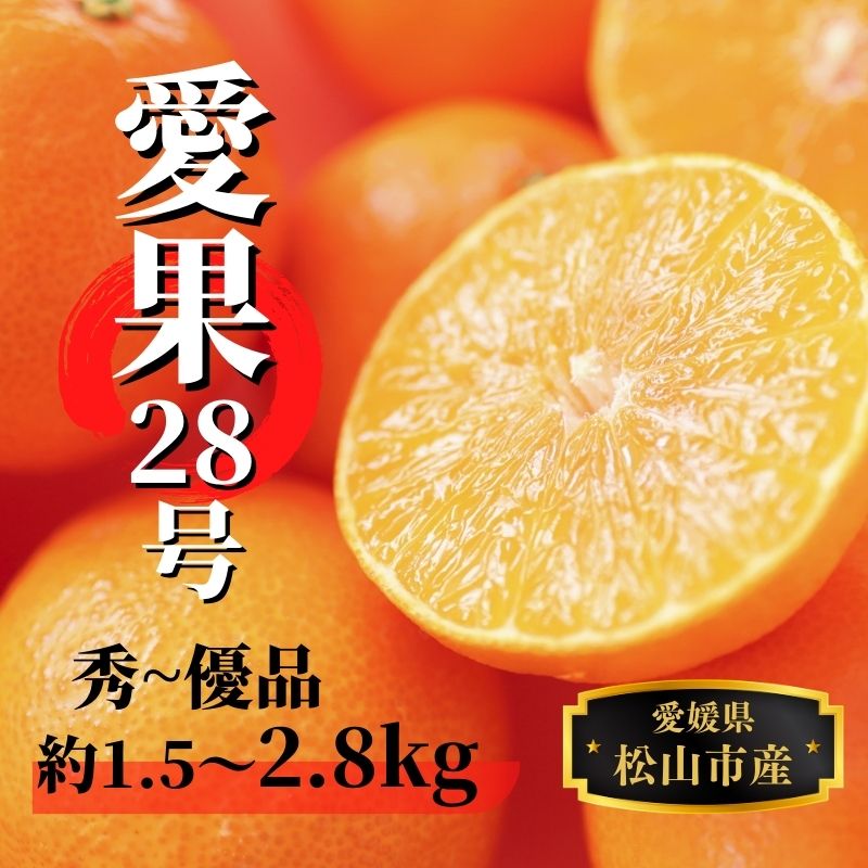 【2026年12月頃から順次発送】愛果28号 (紅まどんな と同品種) 約1.5kg / 約2.8kg 秀~優品 | 愛果28号 まどんな あいか 柑橘 みかん 果物 くだもの フルーツ おすすめ 高級 人気 お取り寄せ グルメ ギフト 期間限定 数量限定 ご当地 愛媛県 松山市