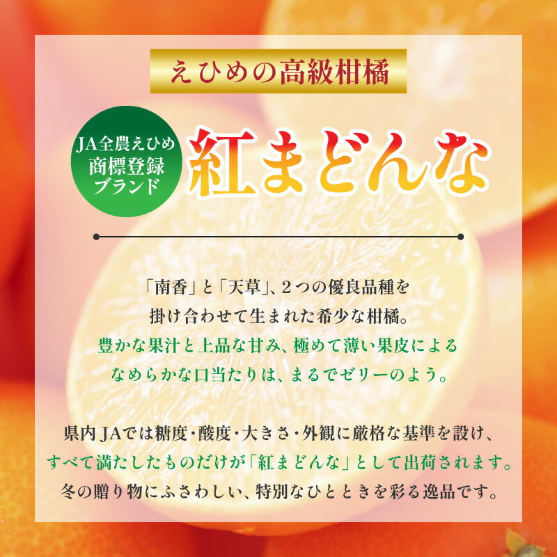 【ふるさと納税】 【先行予約】紅まどんな JAえひめ中央 正規化粧箱入 選べる 等級 無地 青秀以上 JA べにまどんな ベニマドンナ まどんな マドンナ みかん ミカン 蜜柑 果物 くだもの フルーツ 柑橘 かんきつ 愛媛果試第28号 愛媛県 松山市【11月下旬〜12月下旬発送】 サムネイル2