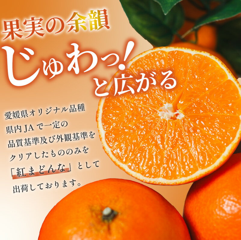 【ふるさと納税】 【先行予約】紅まどんな JAえひめ中央 正規化粧箱入 選べる 等級 無地 青秀以上 JA べにまどんな ベニマドンナ まどんな マドンナ みかん ミカン 蜜柑 果物 くだもの フルーツ 柑橘 かんきつ 愛媛果試第28号 愛媛県 松山市【11月下旬〜12月下旬発送】 サムネイル3