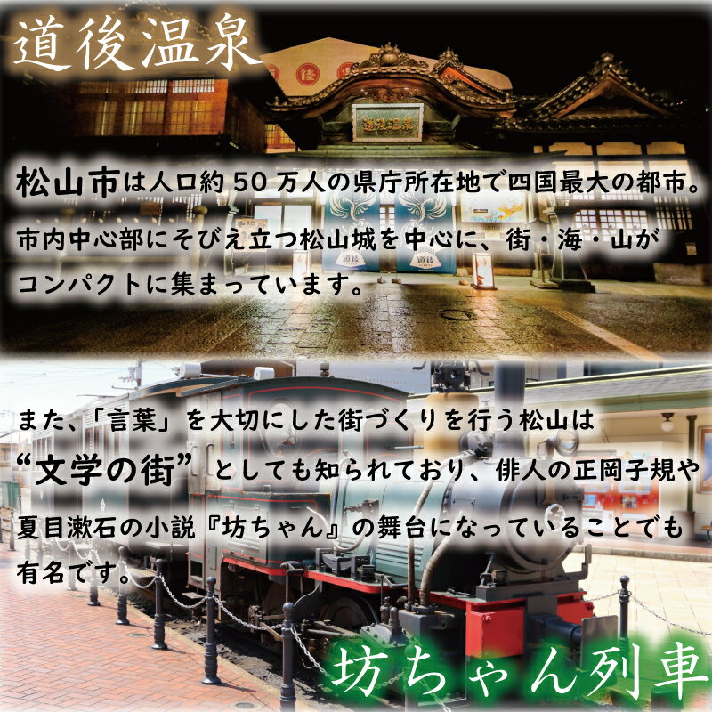 【ふるさと納税】 愛媛県松山市の対象施設で使える楽天トラベルクーポン 寄付額5万円 | ふるさと納税 宿泊 旅行 トラベル 温泉 家族旅行 カップル 観光 旅行 ホテル 旅館 クーポン チケット 父の日 母の日 全国旅行支援 宿泊予約 予約 プレゼント 四国 愛媛県 松山市 サムネイル2