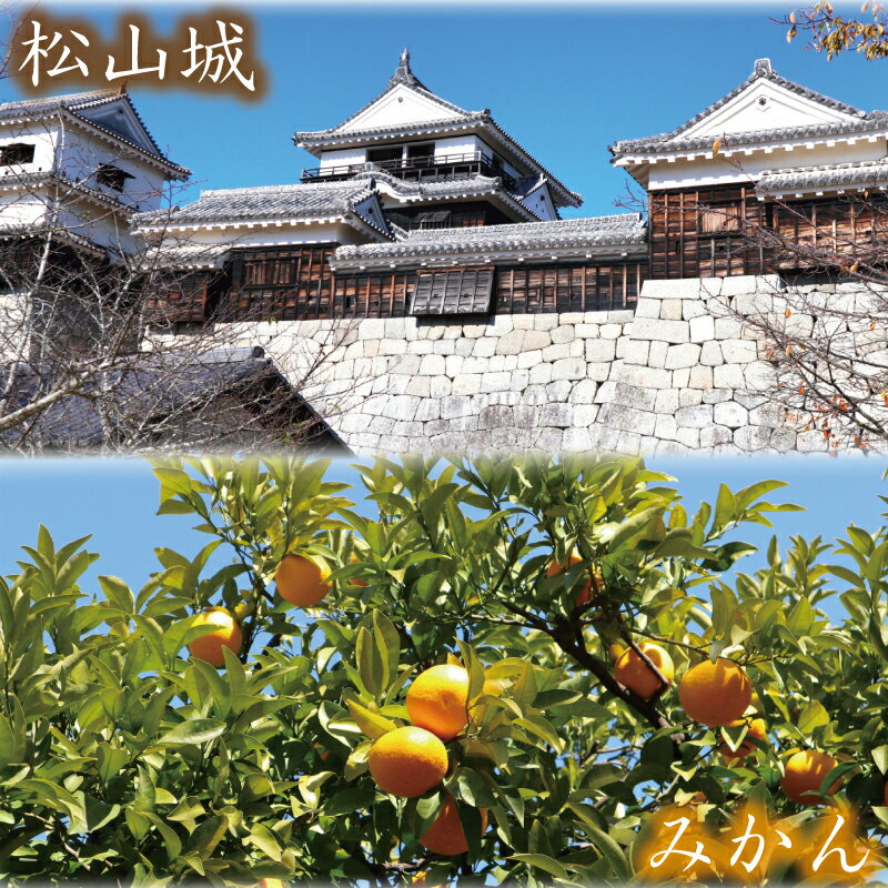 【ふるさと納税】 愛媛県松山市の対象施設で使える楽天トラベルクーポン 寄付額5万円 | ふるさと納税 宿泊 旅行 トラベル 温泉 家族旅行 カップル 観光 旅行 ホテル 旅館 クーポン チケット 父の日 母の日 全国旅行支援 宿泊予約 予約 プレゼント 四国 愛媛県 松山市 サムネイル3