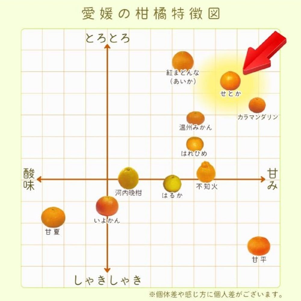 【ふるさと納税】 【先行予約】中島産 せとか 2.5kg 家庭用 中島みかんのまこ農園 | みかん ミカン オレンジ おれんじ せとか フルーツ 果物 くだもの 高級柑橘 愛媛県松山市 サムネイル3