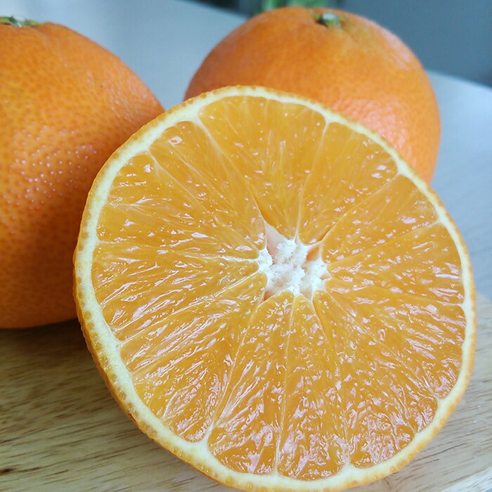 【ふるさと納税】 【先行予約】 訳あり 愛果28号 約2kg 12月中旬より発送 紅まどんな 同品種 まどんな 柑橘 みかん ミカン 果物 フルーツ 高級柑橘 希少品種 家庭用 自宅用 わけあり 国産 産地直送 新鮮 数量限定 人気 おすすめ グルメ お取り寄せ 愛媛県 松山市 送料無料 サムネイル3