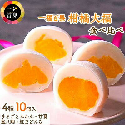 一福百果 フルーツ大福 柑橘大福 食べ比べセット 10個入 みかん大福 甘夏大福 島八朔大福 紅まどんな大福 ふるさと納税 フルーツ 大福 だいふく 取り寄せ お取り寄せ まるごとみかん大福 和洋菓子 ふるさと納税おかし 【VB02280】【配送不可地域：離島】
