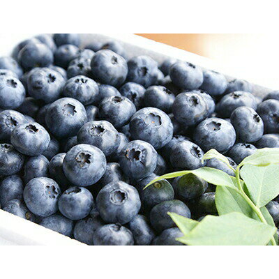 【ふるさと納税】【単品】 しまなみ野菜と果物セット(最低13品目～ 野菜8割 果物2割程度) 春 夏 秋 冬 満足 おまかせ 旬 野菜 詰め合わせ 野菜セット【VC00890】【配送不可地域：離島】 - 画像2