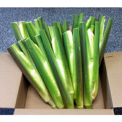 【ふるさと納税】【単品】 しまなみ野菜と果物セット(最低13品目～ 野菜8割 果物2割程度) 春 夏 秋 冬 満足 おまかせ 旬 野菜 詰め合わせ 野菜セット【VC00890】【配送不可地域：離島】 - 画像3