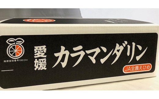 【ふるさと納税】【先行予約】カラマンダリン約5kg【KC00800】 サムネイル2