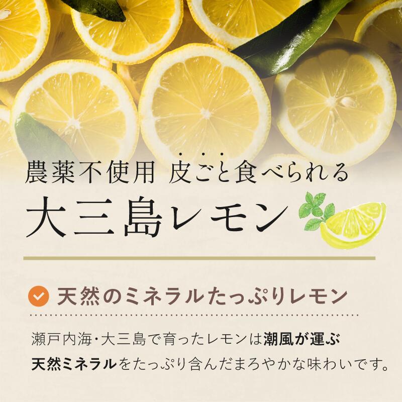 【ふるさと納税】 【数量限定】愛媛県今治産 ホリ田ヤの皮ごと食べられる島育ちレモン 2.5kg 安心 安全 国産 愛媛 瀬戸内レモン 大三島 皮ごと食べられるレモン 健康 生搾り レモンサワー 産地直送 レモン 檸檬 直送 産直 ふるさと納税ふるーつ 愛媛ふるさと納税 【K002450】 サムネイル2