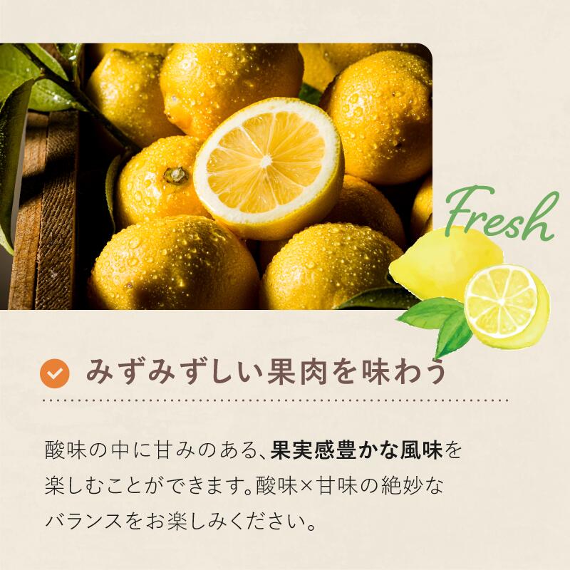 【ふるさと納税】 【数量限定】愛媛県今治産 ホリ田ヤの皮ごと食べられる島育ちレモン 2.5kg 安心 安全 国産 愛媛 瀬戸内レモン 大三島 皮ごと食べられるレモン 健康 生搾り レモンサワー 産地直送 レモン 檸檬 直送 産直 ふるさと納税ふるーつ 愛媛ふるさと納税 【K002450】 サムネイル3