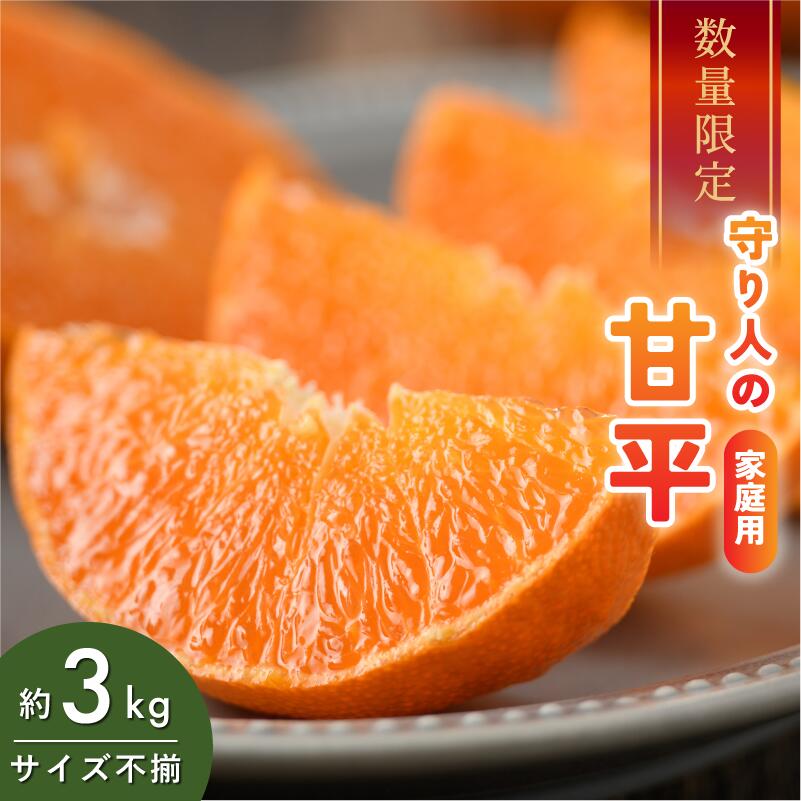 【先行予約】【数量限定】守り人の甘平 3kg（家庭用）【K003070】2月上旬～2月下旬に順次発送予定 かんぺい 愛媛 甘平 みかん 愛媛県 果物 フルーツ みかん 3kg 甘い 高級 柑橘類 守り人