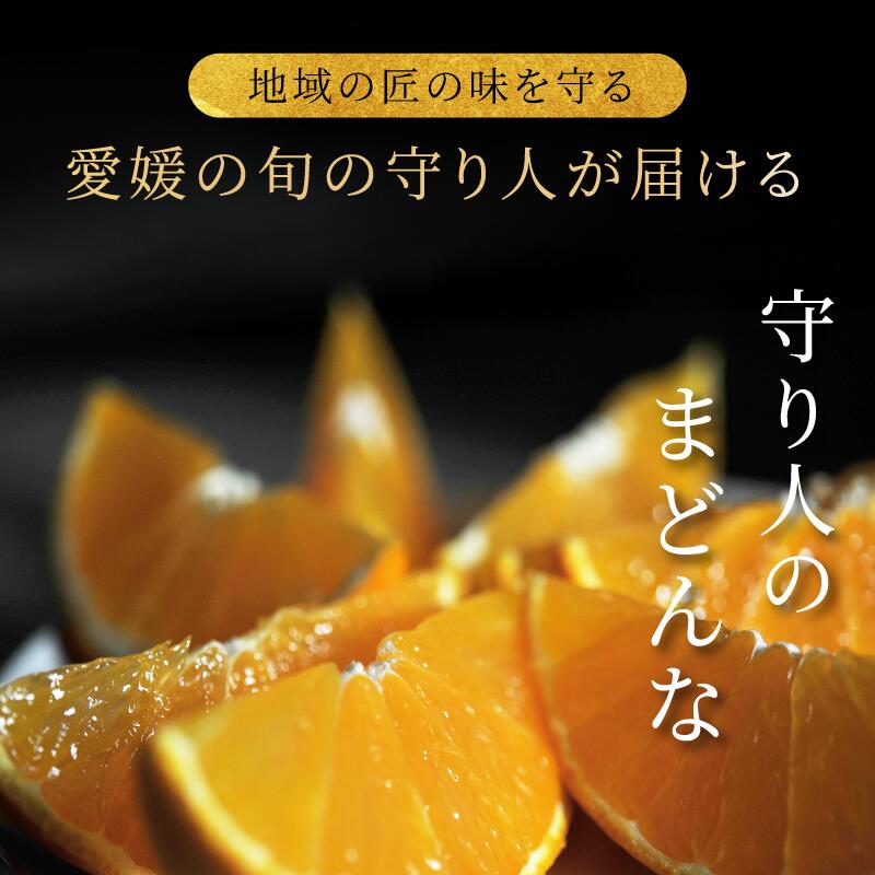 【ふるさと納税】【先行予約】【数量限定】守り人のまどんな 3kg（家庭用）【K003060】12月上旬～12月下旬に順次発送予定 まどんな マドンナみかん 果物ふるさと 愛媛 マドンナ みかん 高級 柑橘 柑橘類 愛媛県 果物 フルーツ 年内発送 甘い 守り人 愛媛県ふるさと納税 サムネイル2