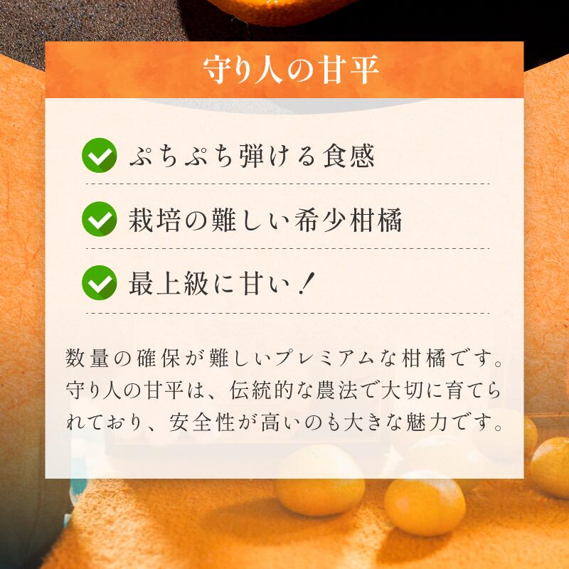 【ふるさと納税】【先行予約】【数量限定】守り人の甘平 3kg（家庭用）【K003070】2月上旬～2月下旬に順次発送予定 かんぺい 愛媛 甘平 みかん 愛媛県 果物 フルーツ みかん 3kg 甘い 高級 柑橘類 守り人 サムネイル3