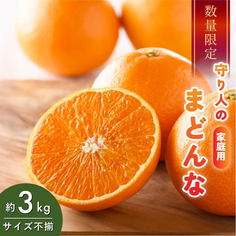【先行予約】【数量限定】守り人のまどんな 3kg（家庭用）【K003060】12月上旬～12月下旬に順次発送予定 まどんな マドンナみかん 果物ふるさと 愛媛 マドンナ みかん 高級 柑橘 柑橘類 愛媛県 果物 フルーツ 年内発送 甘い 守り人 愛媛県ふるさと納税