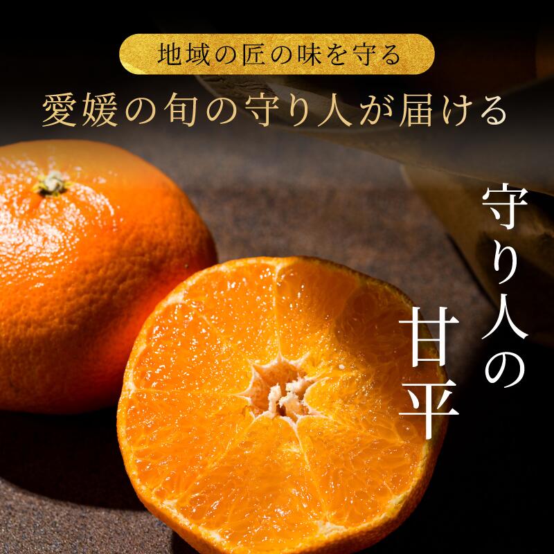 【ふるさと納税】【先行予約】【数量限定】守り人の甘平 3kg（家庭用）【K003070】2月上旬～2月下旬に順次発送予定 かんぺい 愛媛 甘平 みかん 愛媛県 果物 フルーツ みかん 3kg 甘い 高級 柑橘類 守り人 サムネイル2