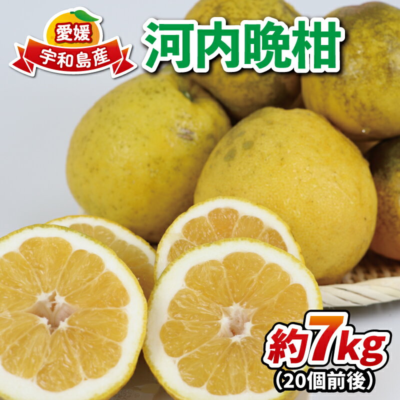 河内晩柑 有機肥料栽培 7kg 20個前後 ほんとのみかん清家農園 先行予約 晩柑 かわちばんかん 和製 グレープフルーツ 果物 くだもの フルーツ 柑橘 みかん 蜜柑 愛媛ミカン 愛媛蜜柑 愛媛みかん 農家直送 産地直送 数量限定 国産 愛媛 宇和島 B016-040003