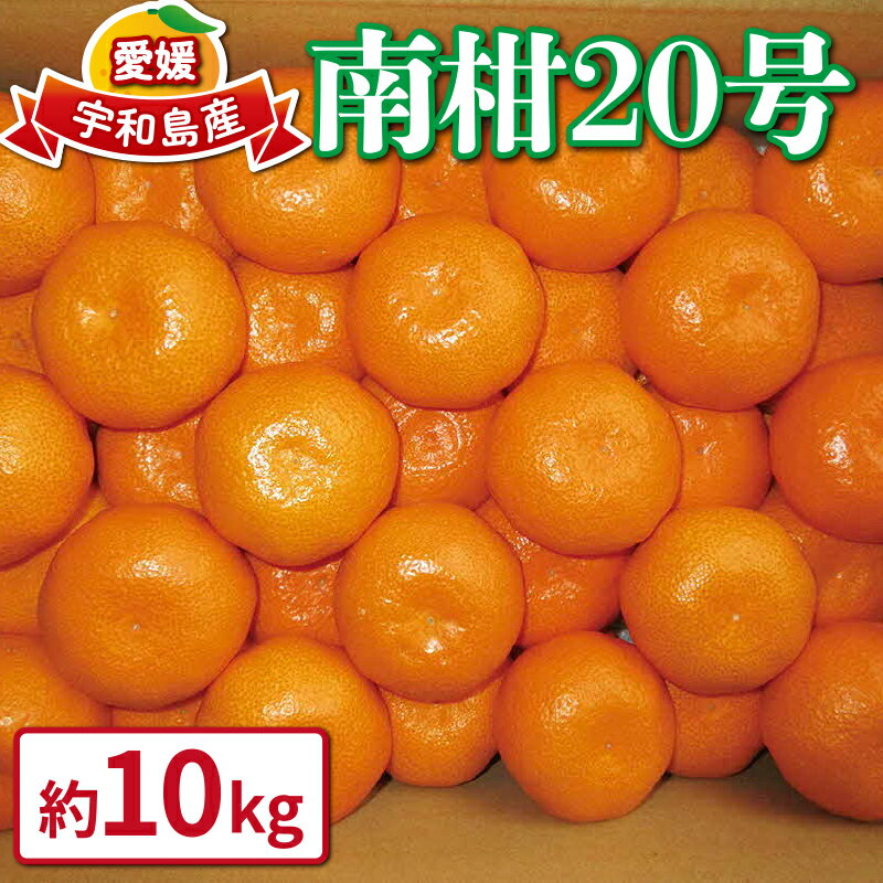 【先行予約】 みかん 蜜柑 10kg 愛媛みかん 南柑20号 甘い 美味しい ワールドファーマーズ 温州 みかん うんしゅう 温州みかん 愛媛ミカン 愛媛蜜柑 mikan 果物 くだもの フルーツ 柑橘 数量限定 国産 愛媛 宇和島 【2026年12月発送】 B015-024002