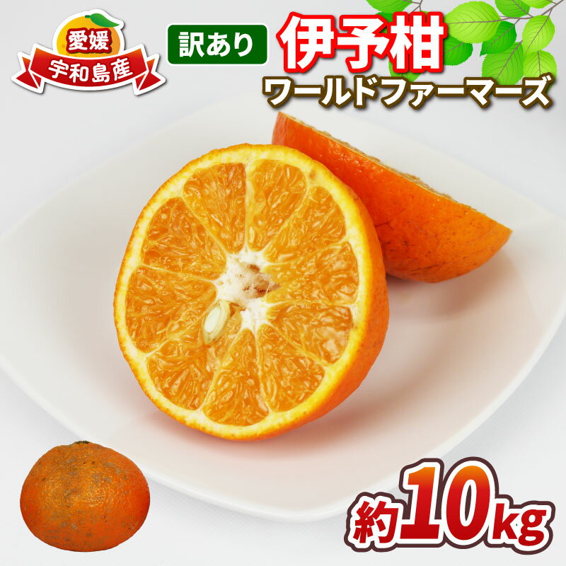 愛媛みかん 訳あり 伊予柑 10kg ワールドファーマーズ わけあり いよかん 愛媛ミカン 愛媛蜜柑 訳ありみかん 訳あり蜜柑 訳アリ 訳あり品 訳有り わけあり mikan 果物 くだもの フルーツ 柑橘 みかん 蜜柑 数量限定 産地直送 国産 愛媛 宇和島 B010-024022