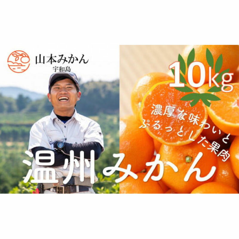 愛媛 みかん 10kg 先行予約 南柑20号 家庭用 温州みかん 山本みかん 温州 みかん 美味しい 人気 みかん10kg mikan 愛媛みかん 蜜柑 果物 くだもの フルーツ 産直 お取り寄せ 愛媛県 甘い 柑橘 送料無料 産地直送 農家直送 数量限定 国産 宇和島 B012-038001