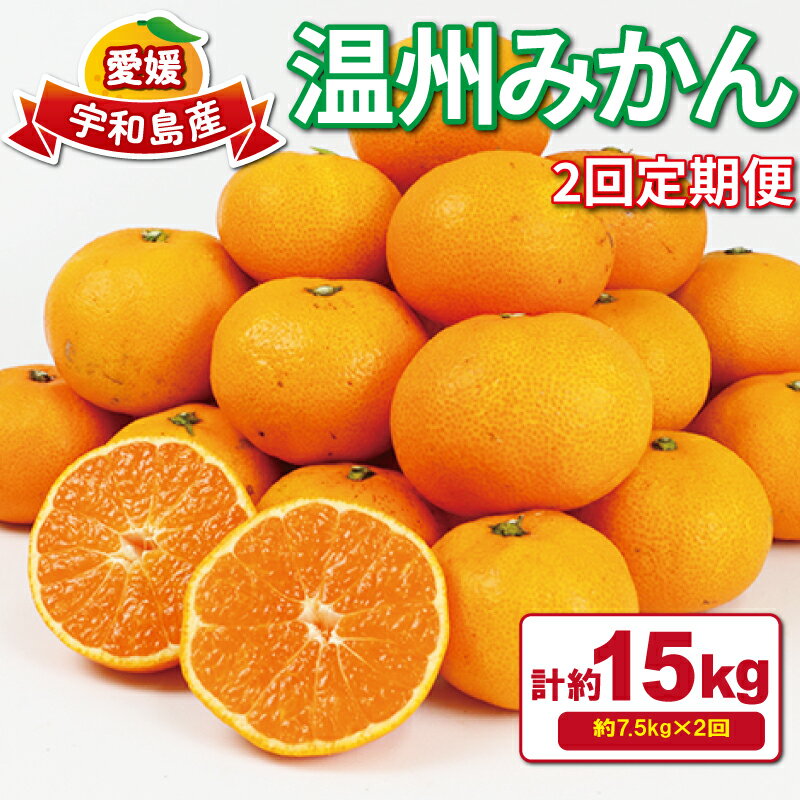 みかん定期便 温州みかん 2回 計15kg 7.5kg×2回 家庭用 愛媛みかん 平石農園 先行予約 柑橘定期便 定期便 mikan 愛媛ミカン 愛媛蜜柑 温州 みかん 蜜柑 果物 くだもの フルーツ 柑橘 産地直送 農家直送 数量限定 国産 愛媛 愛媛県産 宇和島 B018-017007