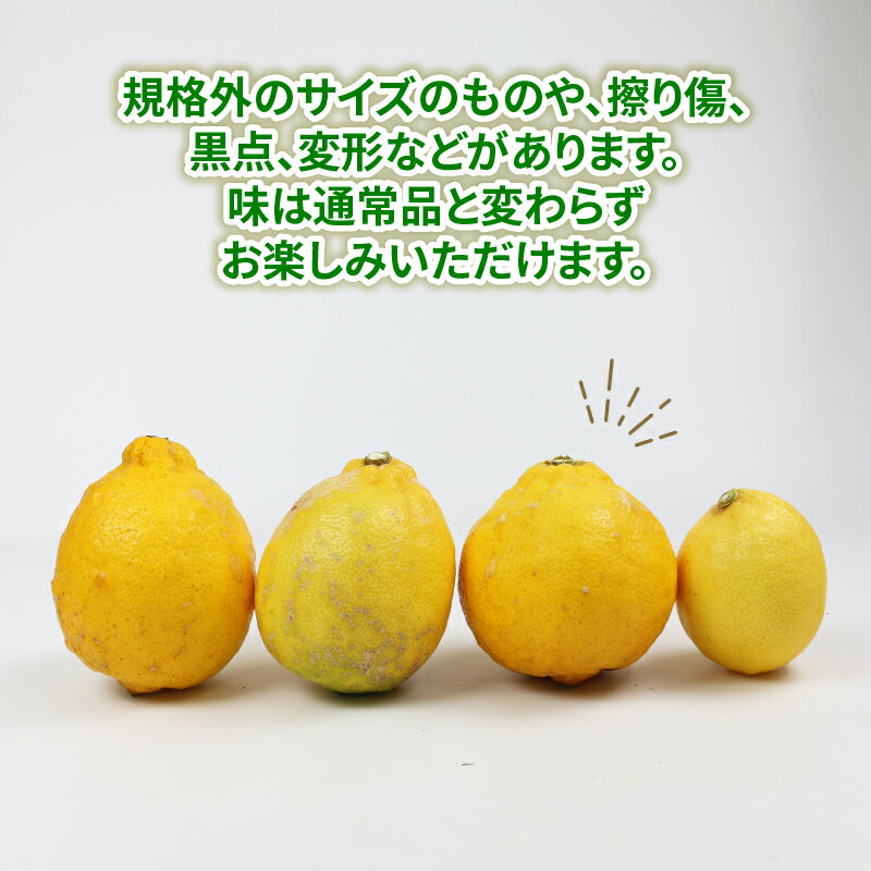 【ふるさと納税】レモン 国産 訳あり 璃の香 5kg つばさ農園 防腐剤 ・ ワックス 不使用 国産レモン 国産檸檬 先行予約 れもん 檸檬 remon 果汁 酸味 高級 果物 ビタミン 健康 さっぱり フルーツ 柑橘 みかん mikan 農家直送 産地直送 数量限定 愛媛 宇和島 B010-048014 サムネイル2